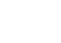 02 COLLECTION - コレクション